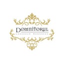 DOMNITORUL