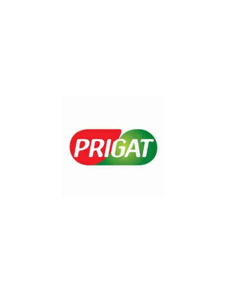 PRIGAT