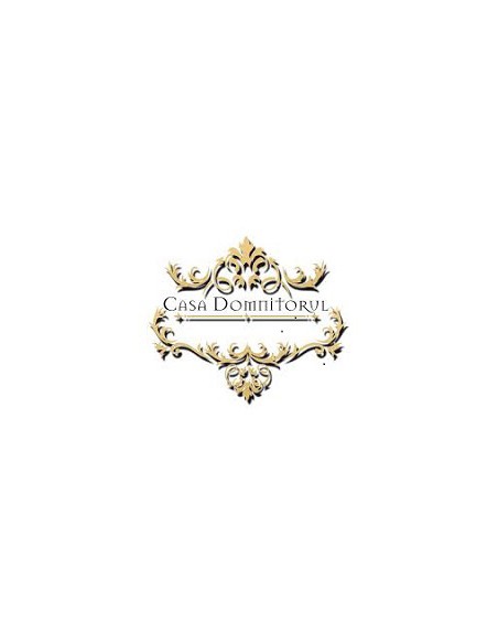 CASA DOMNITORUL