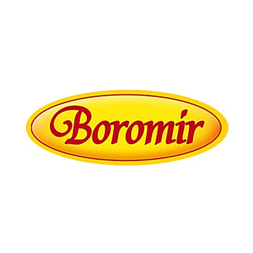 BOROMIR