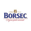 BORSEC